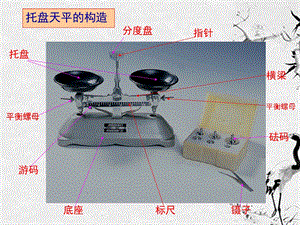 九年级物理 第十一章《多彩的物质世界》 03密度ppt课件人教新课标版.ppt