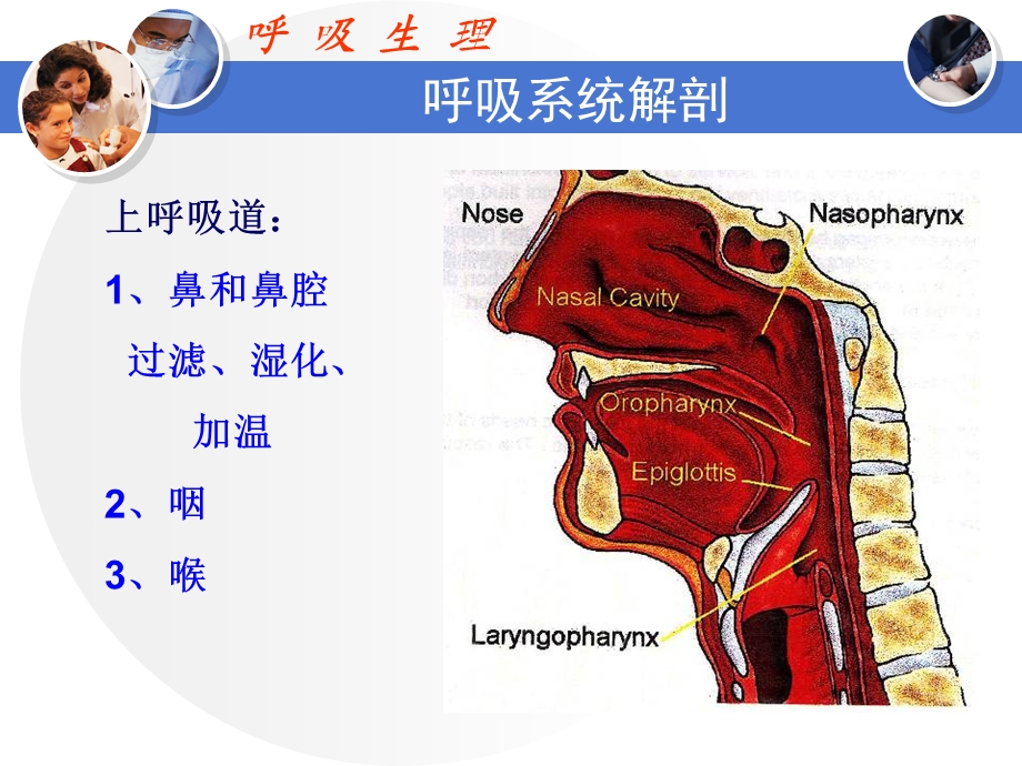 呼吸生理与呼吸机课件.ppt_第3页