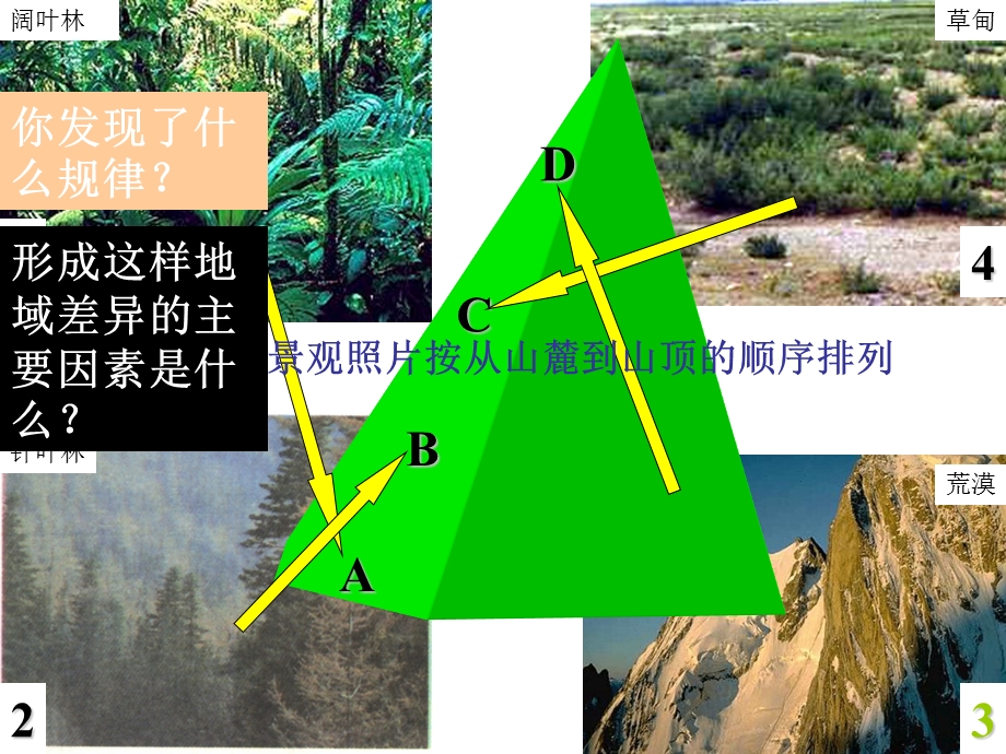 山地的垂直地域分异规律课件.ppt_第2页