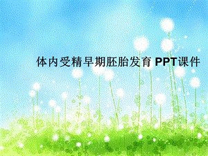 体内受精早期胚胎发育 课件.ppt