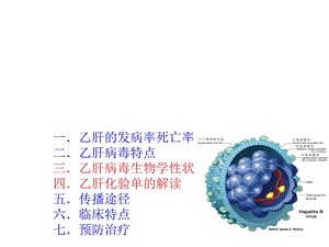 乙肝病毒介绍(专业知识)课件.ppt