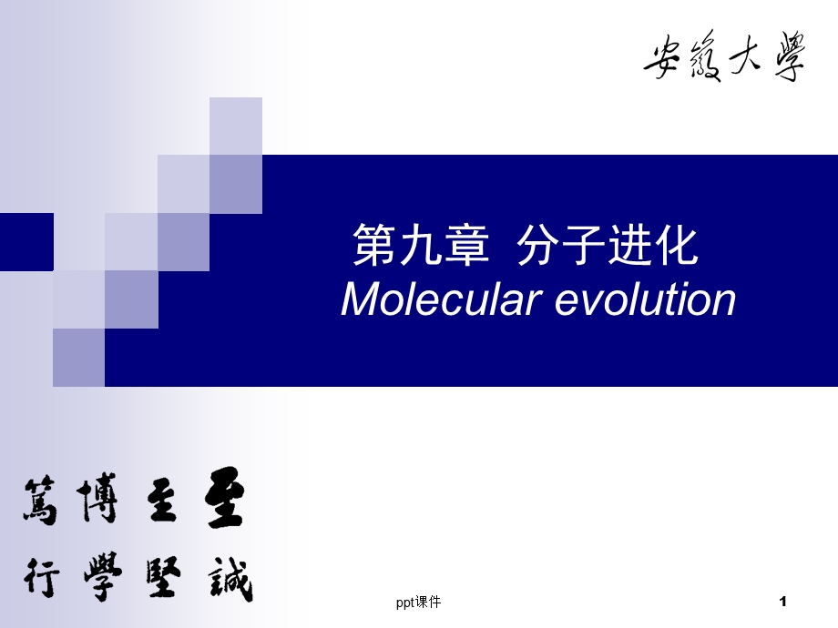 分子进化课件.ppt_第1页