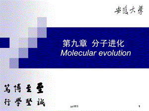 分子进化课件.ppt