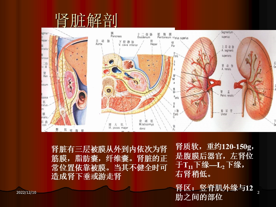 尿石症梗阻及其他课件.ppt_第2页