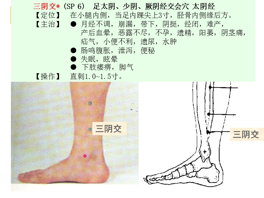 中医适宜技术之腧穴定稿课件.ppt_第2页