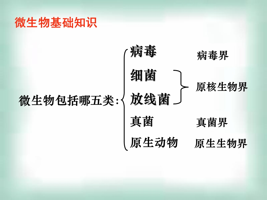 人教选修一21微生物的实验室培养ppt课件第一课时.ppt_第3页