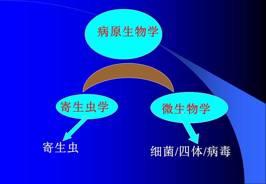 人体寄生虫学总论课件.ppt_第2页