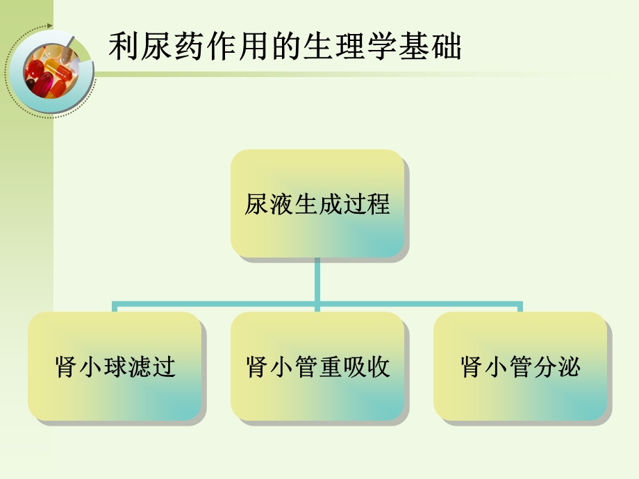 利尿药与脱水药药理学课件.ppt_第3页