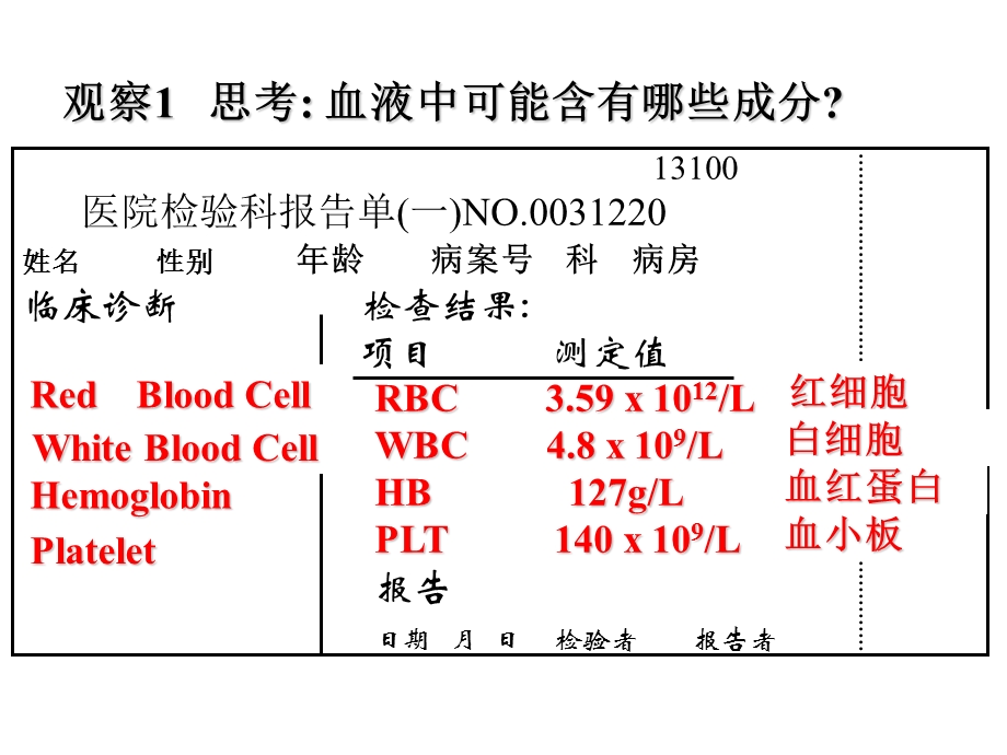 人教版七年级生物下册《流动的组织血液》ppt课件.ppt_第2页