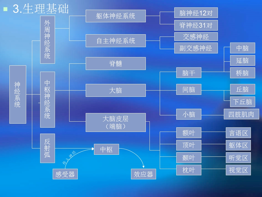 基础心理学知识课件.ppt_第3页