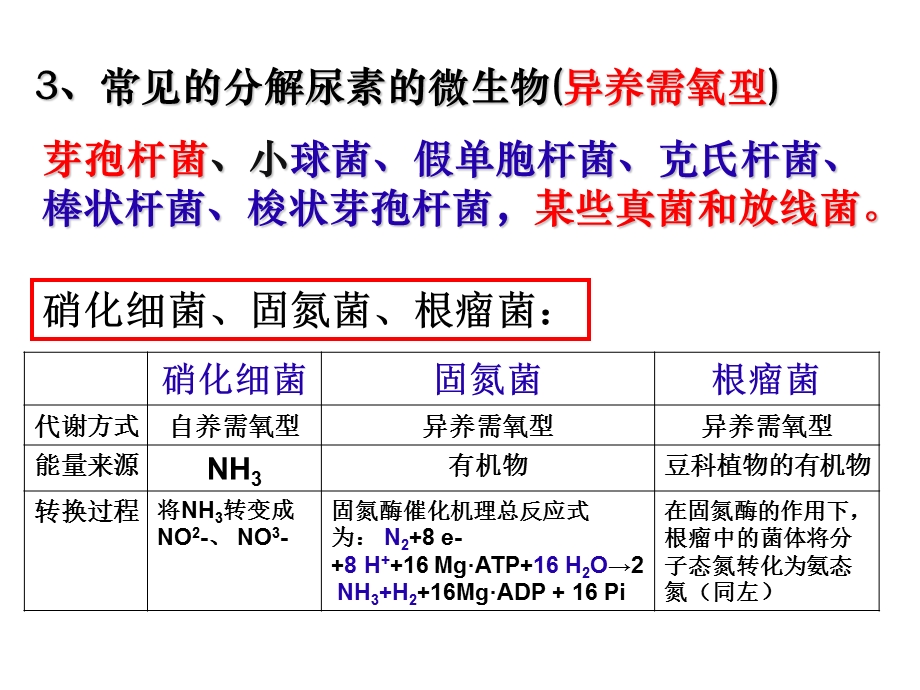 土壤中分解尿素的细菌的分离与计数课件.ppt_第3页