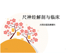 尺神经解剖及临床课件.ppt