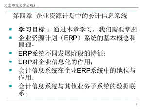 企业资源计划系统课件.ppt