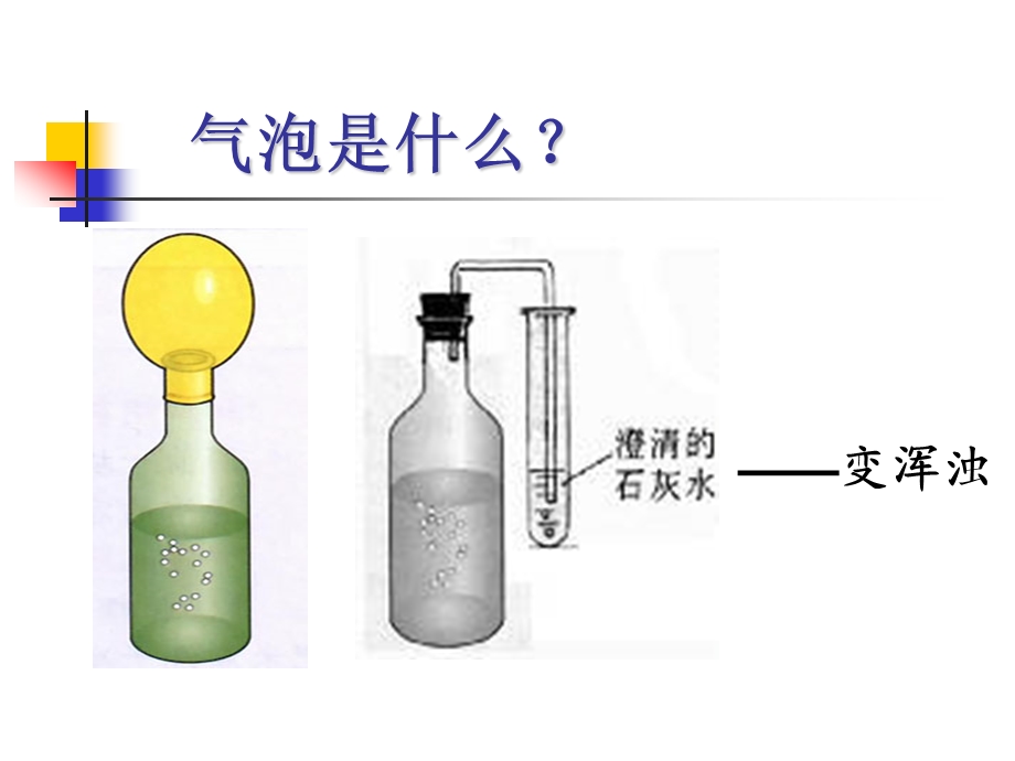 对细菌真菌的利用ppt课件.ppt_第3页