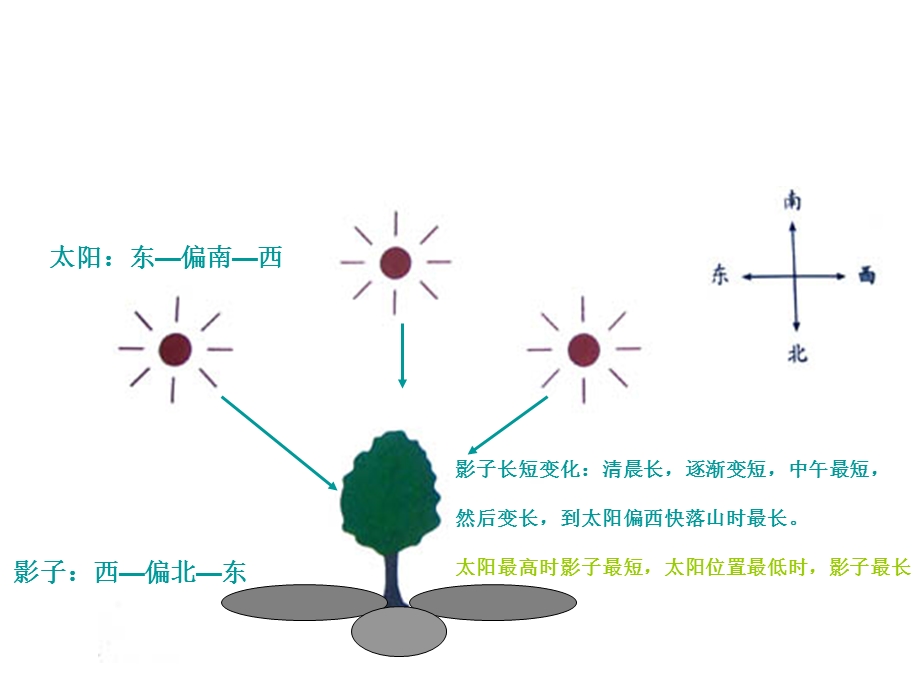 五年级上科学光是怎样传播的ppt教材课件.ppt_第1页