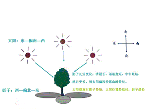 五年级上科学光是怎样传播的ppt教材课件.ppt