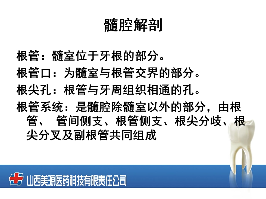 卫校口腔解剖学ppt课件.ppt_第3页