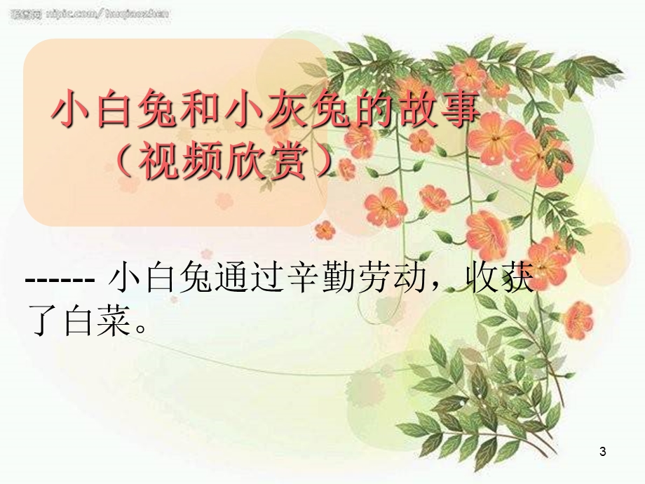 付出才能有收获主题班会课件.ppt_第3页