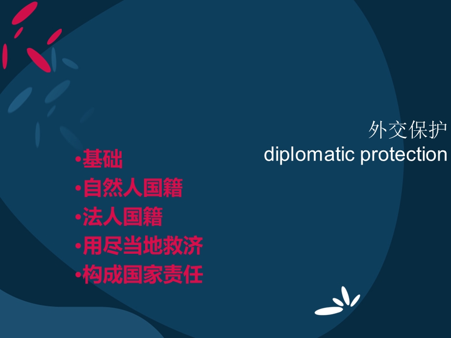 国际法ppt课件.ppt_第1页