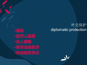 国际法ppt课件.ppt