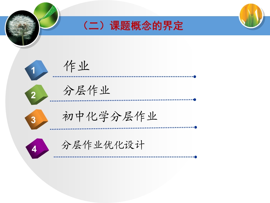 初中化学分层作业优化设计研究个人课题结题鉴定课件.ppt_第3页