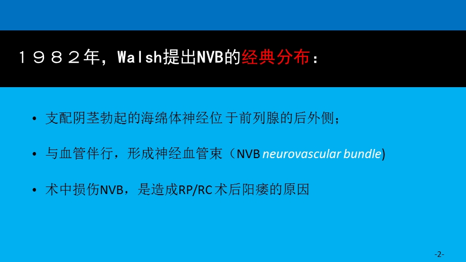 勃起神经盆腔解剖及保留勃起神经的根治术课件.ppt_第2页