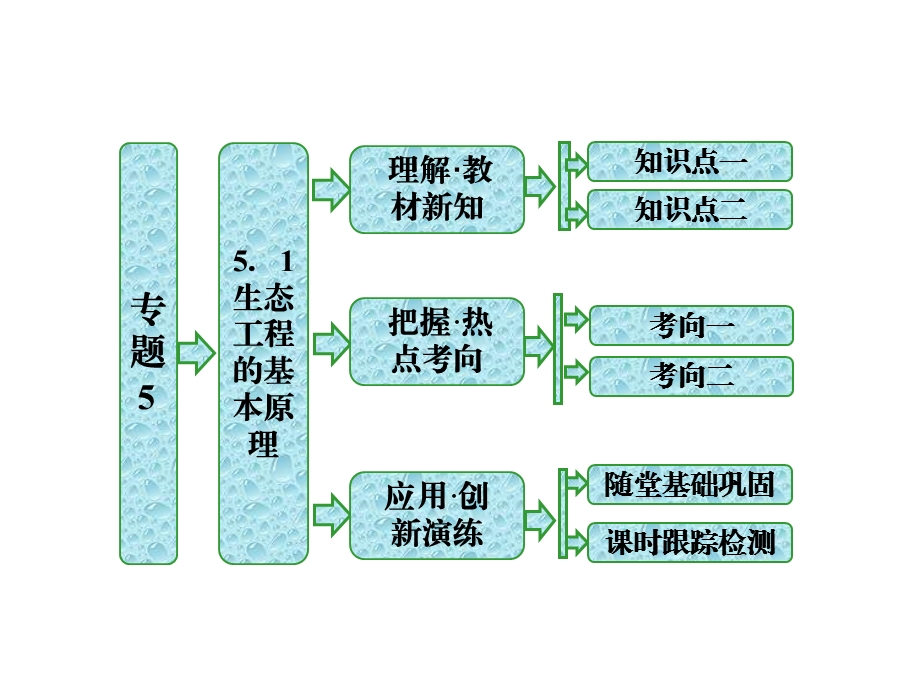 人教版高二生物选修三同步ppt课件 专题5 51生态工程的基本原理.ppt_第1页