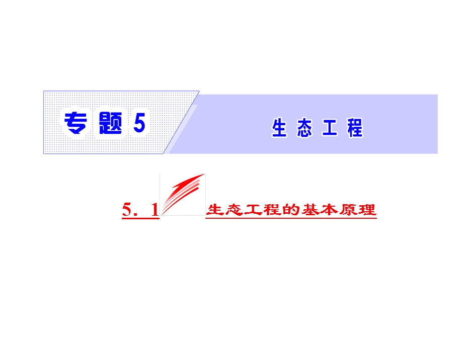 人教版高二生物选修三同步ppt课件 专题5 51生态工程的基本原理.ppt_第2页