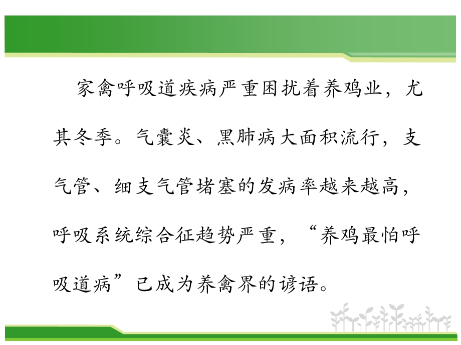 家禽冬季呼吸道病的治疗预防思路课件.pptx_第2页