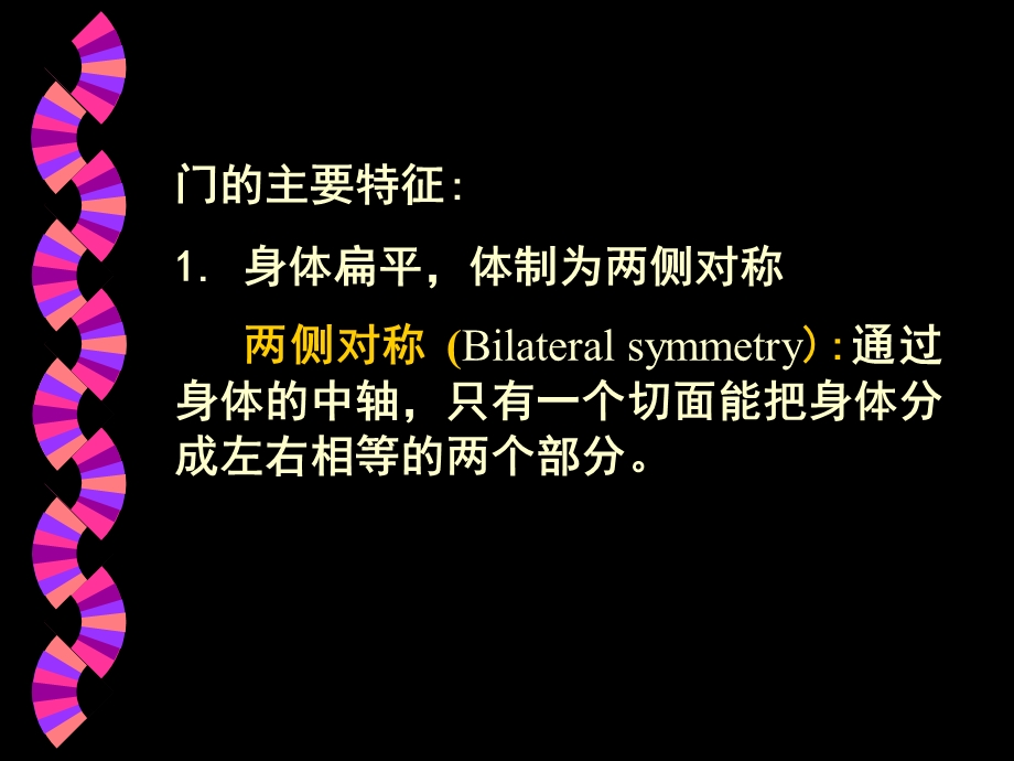 大学动物学扁形动物课件.ppt_第3页