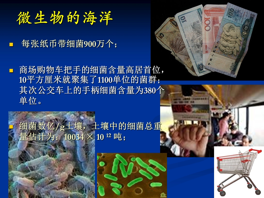 农业微生物学课件.ppt_第2页