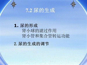 动物生理学 尿的生成课件.ppt