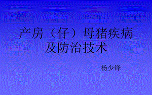 产房(仔)母猪疾病及防治技术教材课件.ppt