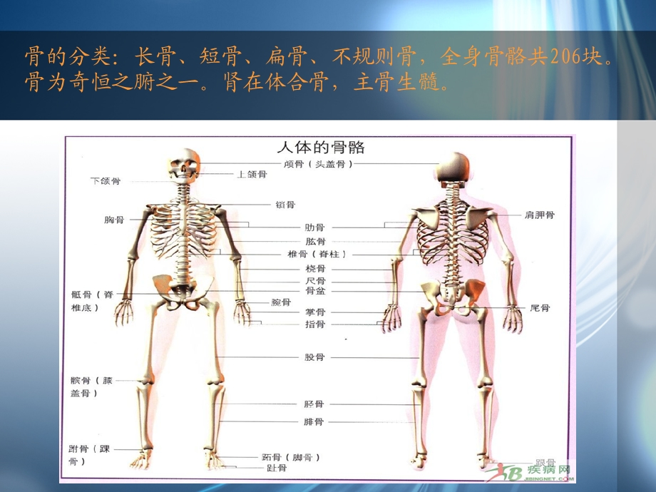 创伤骨折病人的搬运与体位护理课件.ppt_第2页