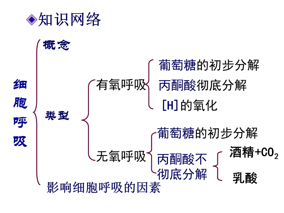 呼吸作用(专题复习)(ppt课件).ppt_第3页