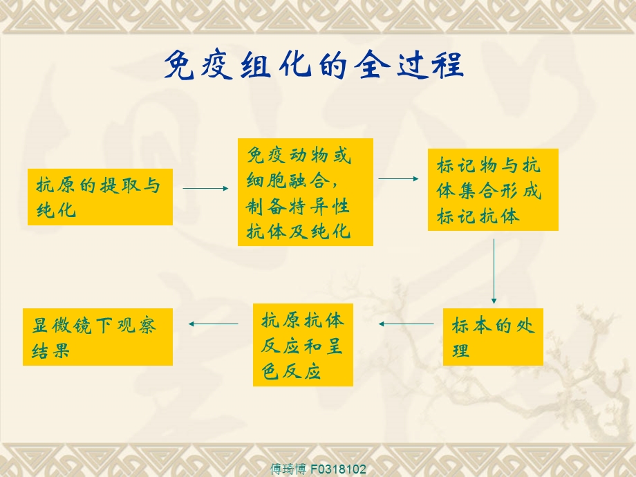 免疫组织化学解析课件.ppt_第3页