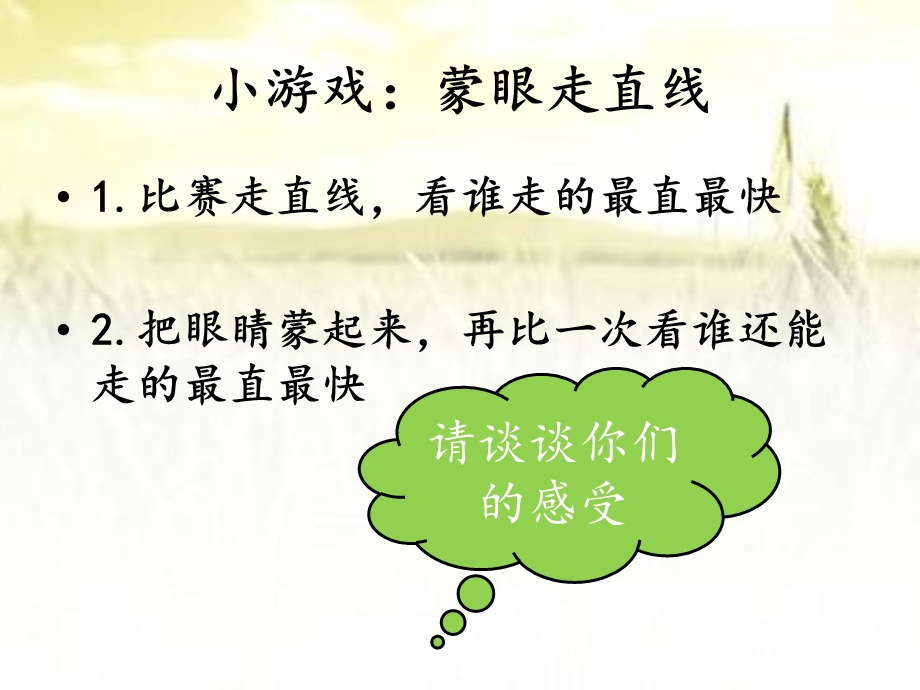 保护心灵的窗户主题班会课件.ppt_第2页