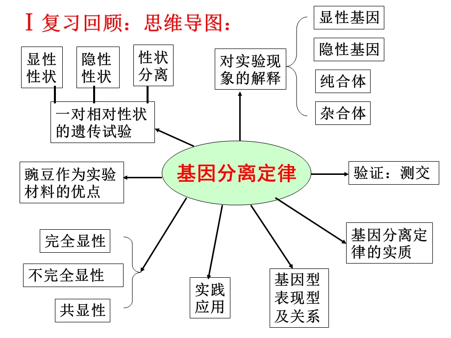 基因分离定律复习（公开课）课件.ppt_第2页