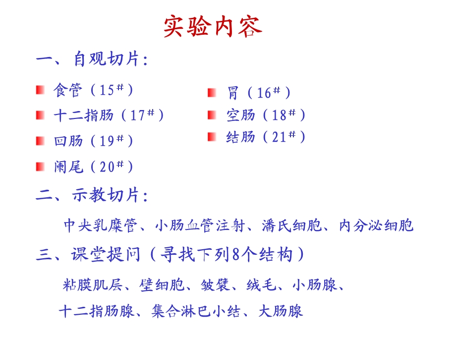 实验六：消化管课件.ppt_第2页