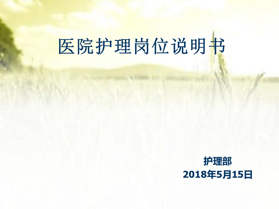 医院护理岗位说明书ppt课件.pptx_第1页