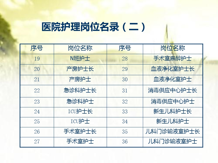 医院护理岗位说明书ppt课件.pptx_第3页