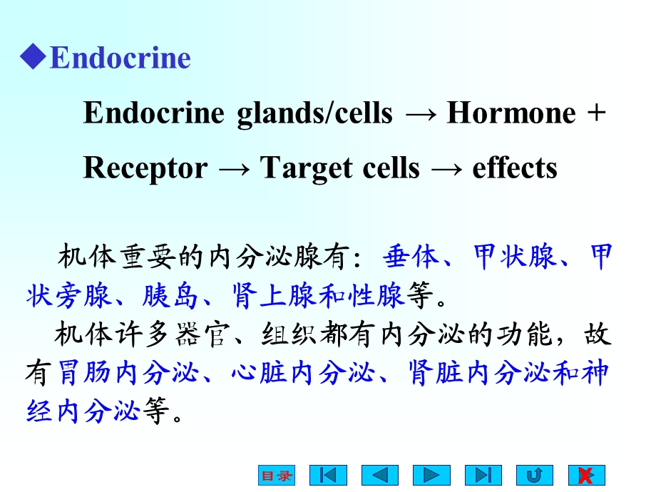 内分泌(卓越班)课件.ppt_第3页