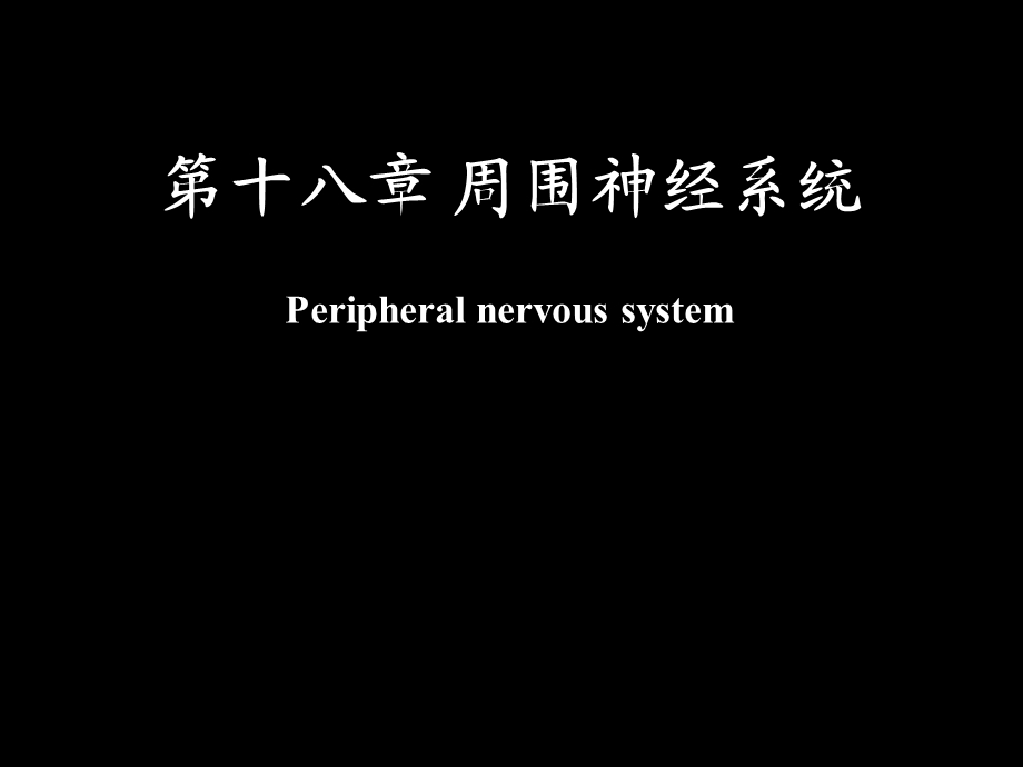 周围神经系统’课件.ppt_第1页