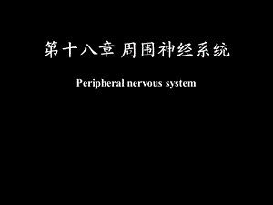 周围神经系统’课件.ppt