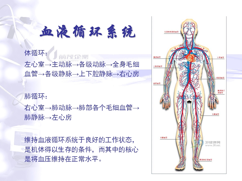 主动脉内球囊反搏泵课件.pptx_第3页