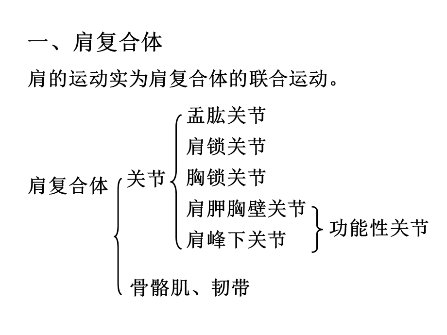 上肢关节运动课件.ppt_第2页