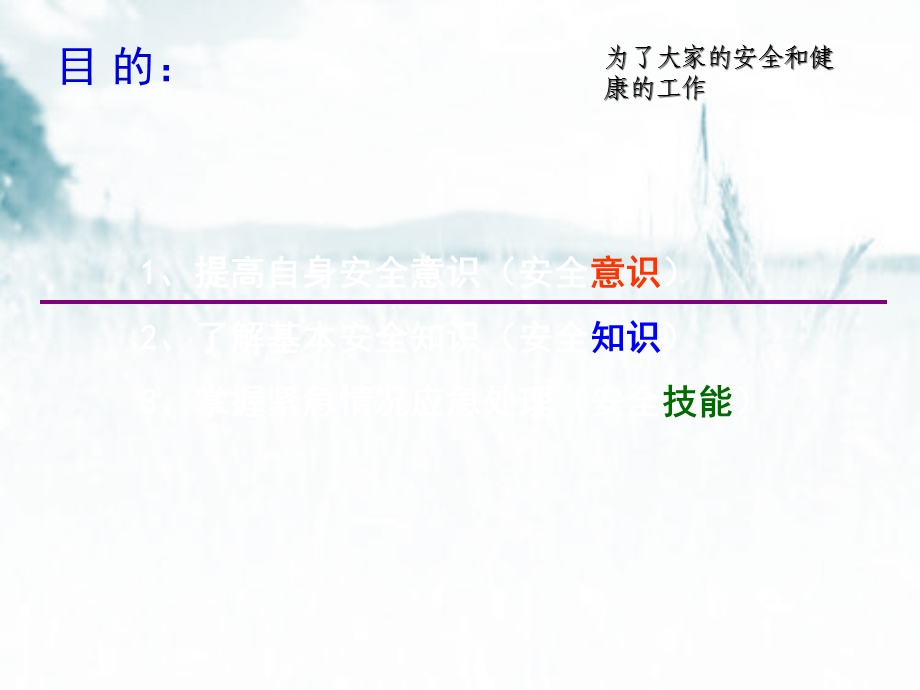 办公室安全常识培训课件.ppt_第2页