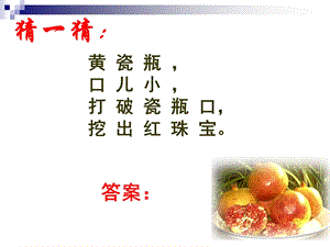 八年级下册《石榴》课件.ppt