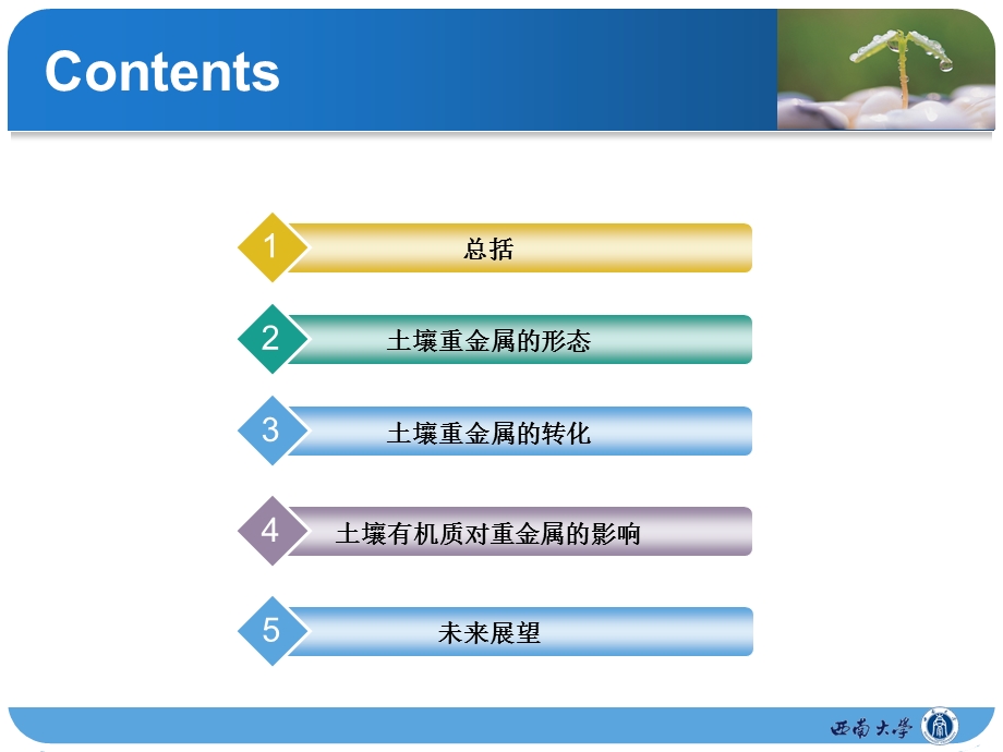 土壤有机质对重金属污染的影响课件.ppt_第2页