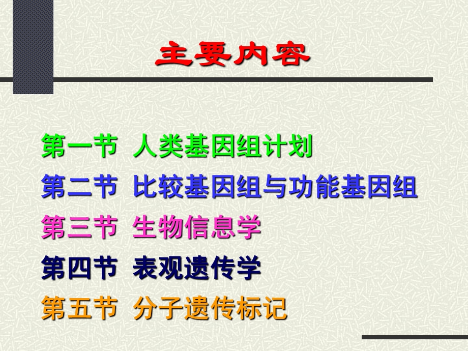 大学生物遗传学：第11章动物基因组学课件.ppt_第2页